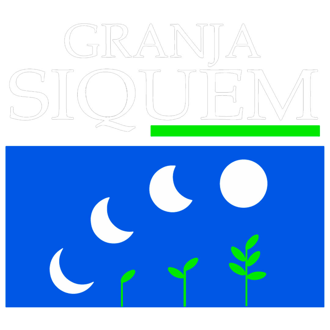 Granja Siquem